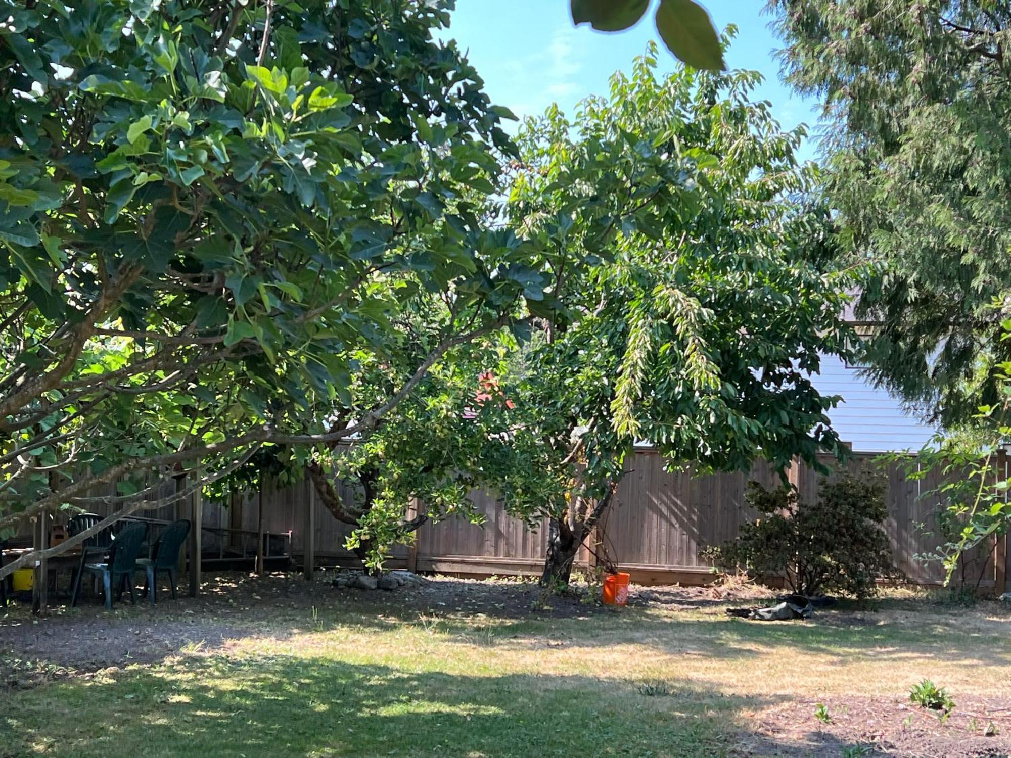 Quite House Near The Vancouver Airport ريتشموند، كولومبيا البريطانية المظهر الخارجي الصورة
